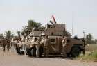 Plus de 80% de Fallouja libéré par les forces irakiennes