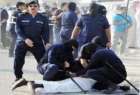 دستگیری داعشی ها در کویت