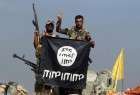 Iraqi forces kill 50 ISIL terrorists in Salahuddin
