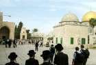 فراخوان گروه های صهیونیستی برای تعرض به مسجد الاقصی/ شهادت 7 فلسطینی ساکن قدس طی 6 ماه نخست سال جاری