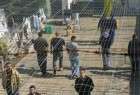 اعتصاب غذای دهها زندانی فلسطینی