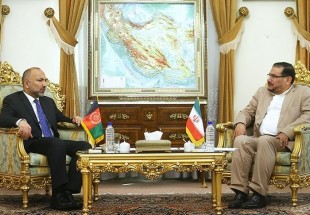 Iran to devise joint strategies with Afghanistan