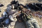 هلاکت 40 تروریست داعشی در مرزهای عراق و سوریه