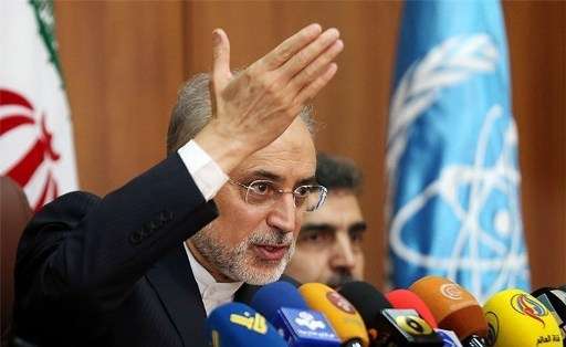 صالحي: إيران دخلت مرحلة متقدمة في مجال الصناعة النووية السلمية