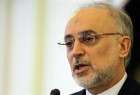 Salehi in Belgium for talks to improve nuclear cooperation