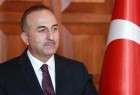 Turkey prone to send forces deeper into Syria: FM
