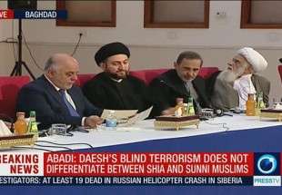 Abadi urges Saudis, Turkey to stay out of Iraq