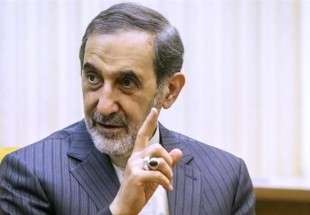Iran opposes meddling by any country: Velayati