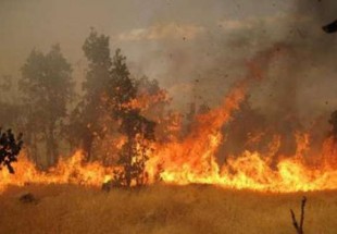 خسارت رژیم صهیونیستی در آتش‌سوزی «حیفاء»