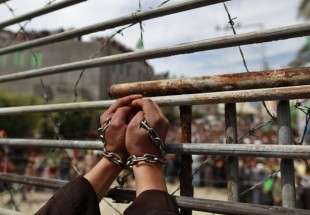 Dozen sit-ins to be held supporting Palestinian prisoners