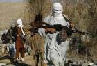 افغانستان : مقتل 16 مسلحاً من حركة طالبان بينهم خمسة قياديين