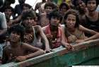 UN rebukes “harrowing” acts against Rohingya Muslims
