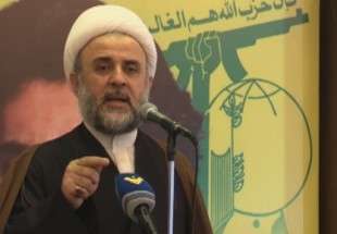تاکید نایب رئیس شورای اجرایی حزب الله بر مقابله با پروژه وهابی صهیونیستی
