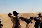 داعش يخطف عشرات العراقيين بتهمة "الفرار من أرض الخلافة"
