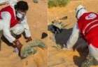 السلطات الليبية تعثر على جثامين 48 مصريا في الصحراء