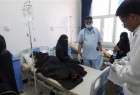 WHO warns of spread of cholera during Hajj pilgrimage