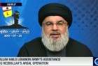 Arsal op decided solely by Hezbollah: Nasrallah