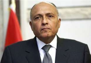 وزير الخارجية المصري يشدّد على أهمية الحفاظ على وحدة سوريا وسلامة أراضيها