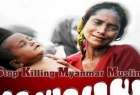 ​ادعای میانمار در سازمان ملل درباره مبارزه با تروریسم