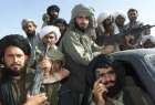 ​رهبر طالبان: با داعش اهداف مشترکی داریم