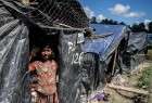 Rohingya Muslims in refugee camp on Bangladesh border (photo)  <img src="/images/picture_icon.png" width="13" height="13" border="0" align="top">