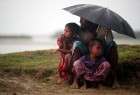 Rohingya refugees in the rain 1 (photo)  <img src="/images/picture_icon.png" width="13" height="13" border="0" align="top">