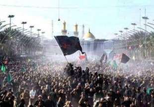 باحثة من موريتانيا: مسيرة أربعينية الإمام الحسين"ع" بين الدهشة والاحترام