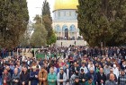 حضور ده ها هزار فلسطینی در نماز جمعه مسجد الاقصی/زخمی شدن 2 شهرک نشین صهیونیست در تازه ترین عملیات مقاومتی