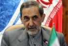 Velayati sternly warns of plots hatched by ISIL sponsors
