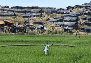 Les Rohingyas de Birmanie sont victimes d