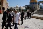 تعرض مجدد شهرک نشینان یهود به مسجد الاقصی/واکنش حماس به اظهارات وزیر صهیونیستی پیرامون تشکیل کشور فلسطین در سینا