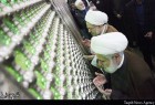 Participants to 31st Islamic Unity Conference visit the mausoleum of Imam Khomeini (RA), Tehran (photo)  <img src="/images/picture_icon.png" width="13" height="13" border="0" align="top">