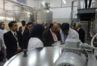 تدشين اول مصنع لإنتاج السكـر من التمر في الجزائر بتقنية ايرانية