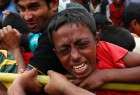 Violence against Rohingya, nearly a 