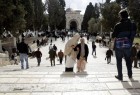 Friday Prayer at Al-Aqsa Mosque  <img src="/images/picture_icon.png" width="13" height="13" border="0" align="top">