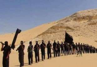 تقرير: ثلاثة مسارات برعاية أمريكية من الرقة إلى سيناء