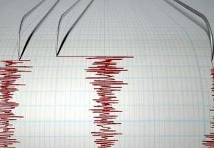 4.2 magnitude quake shakes Tehran