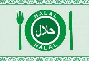 «حلال» به نماد کیفیت و اعتماد در جهان تبدیل شده است