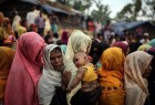 انجام مقدمات بازگشت آوارگان روهینگیایی