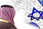 مقام فلسطینی:عربستان در حال توطئه چینی علیه آرمان فلسطین است