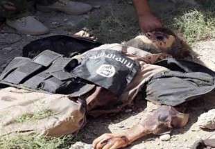 ​هلاکت دو تروریست داعشی درکرکوک