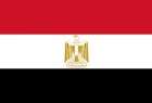 غضب في المخابرات العامة المصرية‎