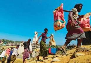 Rohingya plight even worse than media portrayals, US defense chief says