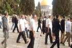 ​یهودیان تندرو درصدد یورش گسترده به مسجد الاقصی