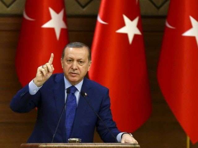 Erdogan warns Afrin op may expand as far as Iraq