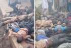 ​دیوان کیفری بین المللی، خواستار پیگرد قانونی عاملان کشتار شیعیان نیجریه شد