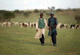 Guerre de terre entre agriculteurs et éleveurs au Nigeria