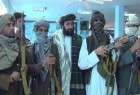 العربیه: ایران از طالبان حمایت و استفاده می کند