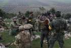 عناصر مسلح ارتش آزاد یک روستای دیگر در اطراف عفرین را تصرف کردند