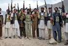 شهروندان ایران و پاکستان در جمع طالبان در افغانستان